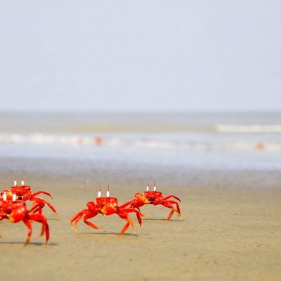 WhatsApp Image 2025-05-02 at 21.50.12_b72d15f2